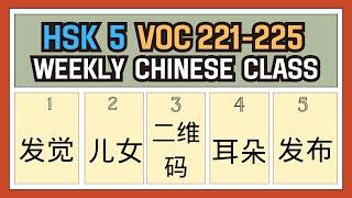 [New HSK 5 Voc list] Voc: 221-225