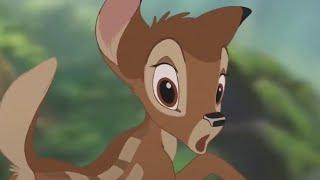 Porcupine Attack Scene - Bambi 2 HD