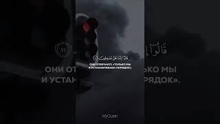 Красивое чтение Корана чтец:Билал Дарбали сура:Аль-Бакара аяты:10-13 #quran #youtubeshorts #ислам