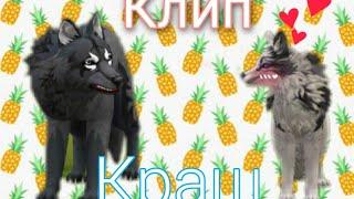 |Клип Краш|| Wild Craft