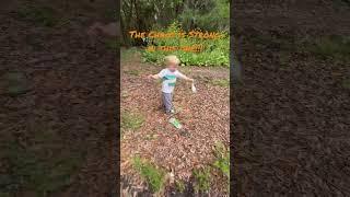 Chaos gardening comes natural to him! #chaosgarden #chaosgardening #thisistheway #cheapseeds #farm