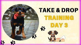 Teach My Rottweiler Puppy to Take and Drop in Minutes! #dog #viralvideo #pets