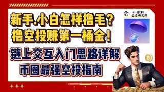 新手.小白撸毛速成篇丨撸空投赚取第一桶金！丨链上交互入门思路详解丨币圈最强空投指南丨潜力项目调研筛选丨事半功倍！丨迎接空投牛市！丨