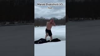 Merav Dvalishvili vs Ice #mma #merabdvalishvili #rocky #creed #georgia #winterswimming #ufc298 #xxx