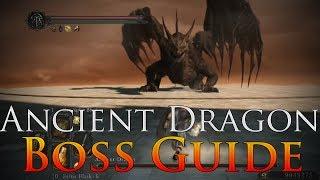 Dark Souls 2: Ancient Dragon Boss Guide | EASY way to kill him (NG+++)