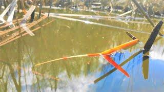 Large CRUCIAN BAST shoes swarm in the FIREWOOD... and THEY EAT!!!! Fishing for a float in Russia