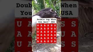 Double tap When You Spot" USA #search #puzzle #shorts