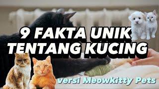 Wajib tau!!! 9 fakta unik tentang hewan kucing versi Meowkitty Pets #faktaunik #kucing #cat