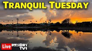 Live: Tranquil Tuesday - Disney Skyliner Resort Hopping - Walt Disney World Live Stream - 5-20-25