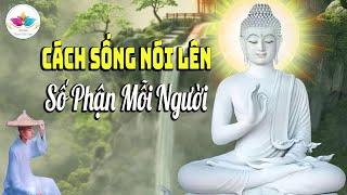 Nghe Phật Dạy, Cách sống nói lên bản tính con người -  Audio Thanh Tịnh Tâm