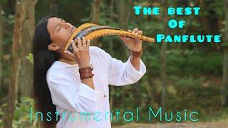 The Best Of Panflute | Fabian Salazar Wuauquikuna #subscribe #like #love #music #instrumental