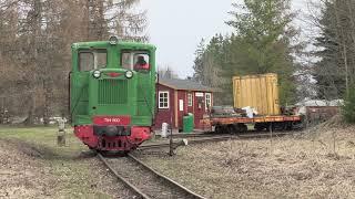 Тепловоз ТУ4-800 в музее Лавассааре / TU4-800 at Lavassaare museum