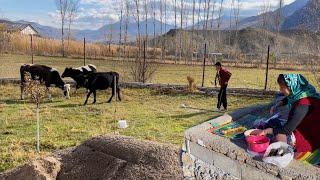 Building a Storage Roof and Toilet in the Heart of Nature | A Glimpse into Peaceful Village Life