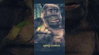 #cucumber#monkey#shortsfeed #youtubers