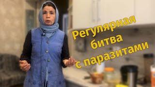 Антипаразитарные добавки на завтрак