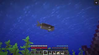 Rare Drop (5% chance) from killing Raw Fish with your Weapon in the ocean - Minecraft 1.21