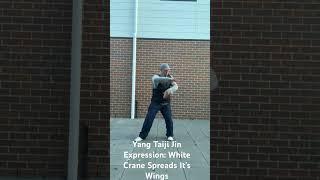 Yang Taiji Jin Expression: White Crane Spreads It’s Wings