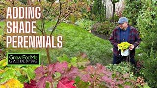 Adding Perennials for Shade  Sharing Some Beautiful Fall Color