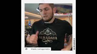 Alhadaya black cumin oil in softgels  and Khabib