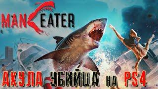 MANEATER ПЕРВЫЙ ВЗГЛЯД НА PS4 [АКУЛА УБИЙЦА ОБЗОР ИГРЫ] - ПОЩАДЫ НЕ ЖДИ от DVGAME