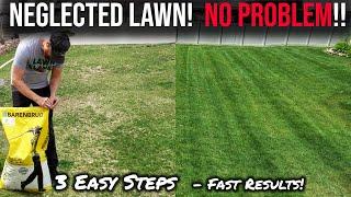 FIX YOUR NEGLECTED LAWN! NO CHEMICALS! easy way to grow grass seed, even in the summer!