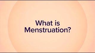 About Menstruation