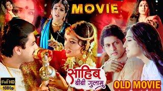 शरीफ लड़के को हुआ तवायफ से मोहब्बत Full Movie | साहिब बीबी और ग़ुलाम |  Ravina Tondon Full Movie