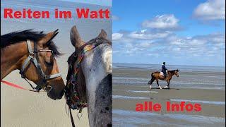 Reiten im Watt von Cuxhaven nach Neuwerk und in der Küstenheide | Wanderritte zum Nachreiten