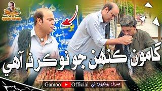 Gamoo Kahen Jo Nokar Na Aahe | Asif Pahore (Gamoo) | Sajjad Makhni | New Video Gamoo