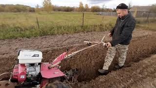 осенняя вспашка мотоблоком.утоптанной почвы часть 1