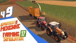 ЛУЧШИЙ СПОСОБ уборки тростника! - ч9 FS17 Platinum Expansion