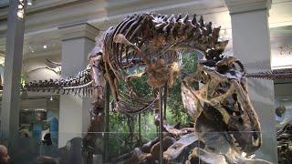 Smithsonian National Museum of Natural History; National Mall; Washington, D.C.