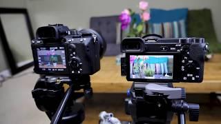 Sony A7R iii Vs a6500 Video Quality Comparison