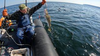 МОРСКАЯ РЫБАЛКА В ИЮЛЕ / БАРЕНЦЕВО МОРЕ  / SEA FISHING IN JULY