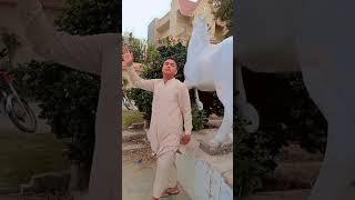udde udde gir Gaya truck ke upar ab udeg ga #funny #comedy #shortvideo 