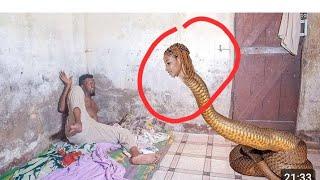 they want to kill directory Jay see  this