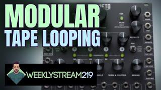 219: Real Modular, Virtual Tape - Magneto