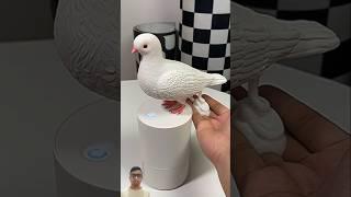 nice entertainment video | #shorts #entertainment