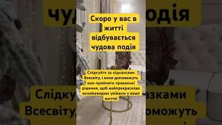 Скоро у вас і житті відбувається чудова подія.Успіх, щастя, радість️#motivation#success#love#like