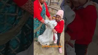 Alishka Anshika masti. #youtube #ytshorts #anshika #alishka #alishkaanshika #funnyvideo #park