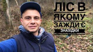 Пошук 2024. Копаю в лісі, на старій дорозі #metaldetecting #коп #монеты #onlinekopach #камрад