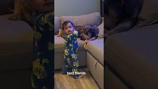 #bestfriend #best #americanbully #foryou #puppy #microbully #pitbull #pocket