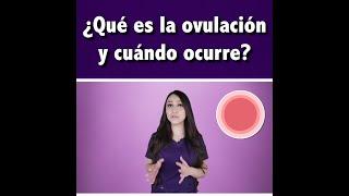 ¿Qué es la ovulación y cuándo ocurre? l‍️Dra. Pau Zúñiga CLIPS