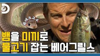 베어형 물고기 잡을 때! 그 여유는 진짜 마음 편안해짐, 목숨을 등지고 딱딱 [Man Vs Wild]