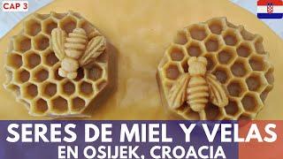 DISCOVER the sweet SECRET: HONEY BEINGS and CANDLES in OSIJEK, CROATIA