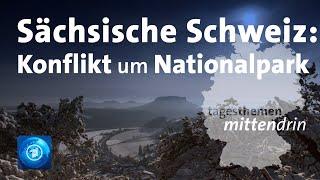 Hohnstein (Sächsische Schweiz): Konflikt um Nationalpark | tagesthemen mittendrin