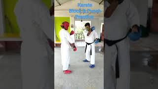 Karate block and punch practice #karate training