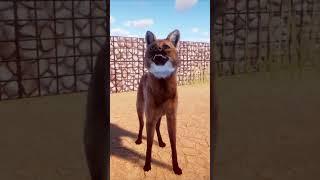 Grasslands Animal Pack: Maned Wolf