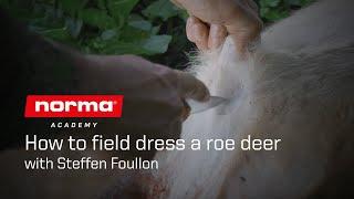 How to field dress a roe deer | Norma Academy