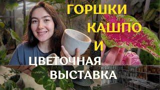 НЕУДАЧНАЯ выставка РАСТЕНИЙ | накупила КРАСИВЫХ и НЕДОРОГИХ кашпо | ПОДБИРАЮ кашпо к РАСТЕНИЯМ